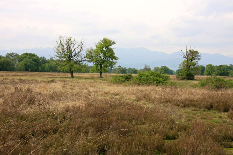 PARCO NATURALE LE BARAGGE